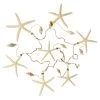 Best reviews of ⭐ 6 Pack: Starfish & Shells Garland by Ashland® ❤️ -Ashlandty Shop MP233099 31