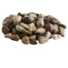 Flash Sale 🔥 5 Pack: Mini River Pebbles by Ashland® ✔️ -Ashlandty Shop MP233104 1