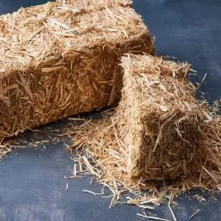 Deals π 12 Pack: 13" Decorative Straw Bale by Ashland® β 12 Deals π 12 Pack: 13" Decorative Straw Bale by Ashland® β -Ashlandty Shop MP234532 20