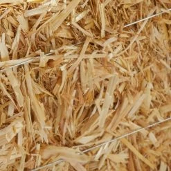 Deals π 12 Pack: 13" Decorative Straw Bale by Ashland® β 11 Deals π 12 Pack: 13" Decorative Straw Bale by Ashland® β -Ashlandty Shop MP234532 6