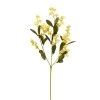 Flash Sale ✔️ 12 Pack: Gold Double Baby's Breath Stem by Ashland® ⭐ -Ashlandty Shop MP240091