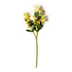 Flash Sale ✔️ 12 Pack: Gold Double Baby's Breath Stem by Ashland® ⭐ -Ashlandty Shop MP240091 21