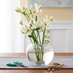 Cheap ✔️ 12 Pack: Pin Frog by Ashland™ ⌛ -Ashlandty Shop MP250029 20