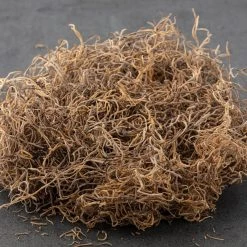 Best deal 😍 16 Pack: Natural Spanish Moss by Ashland® ✨ -Ashlandty Shop MP254250 21