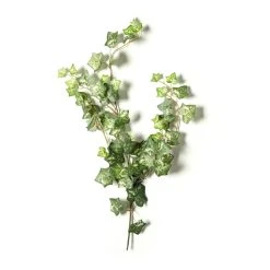 Discount 😉 12 Pack: Green Silk Ivy Spray by Ashland® ⭐ -Ashlandty Shop MP262975 21