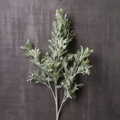 Discount ⌛ 16 Pack: Dusty Miller Stem by Ashland® 🤩 -Ashlandty Shop MP262981 22