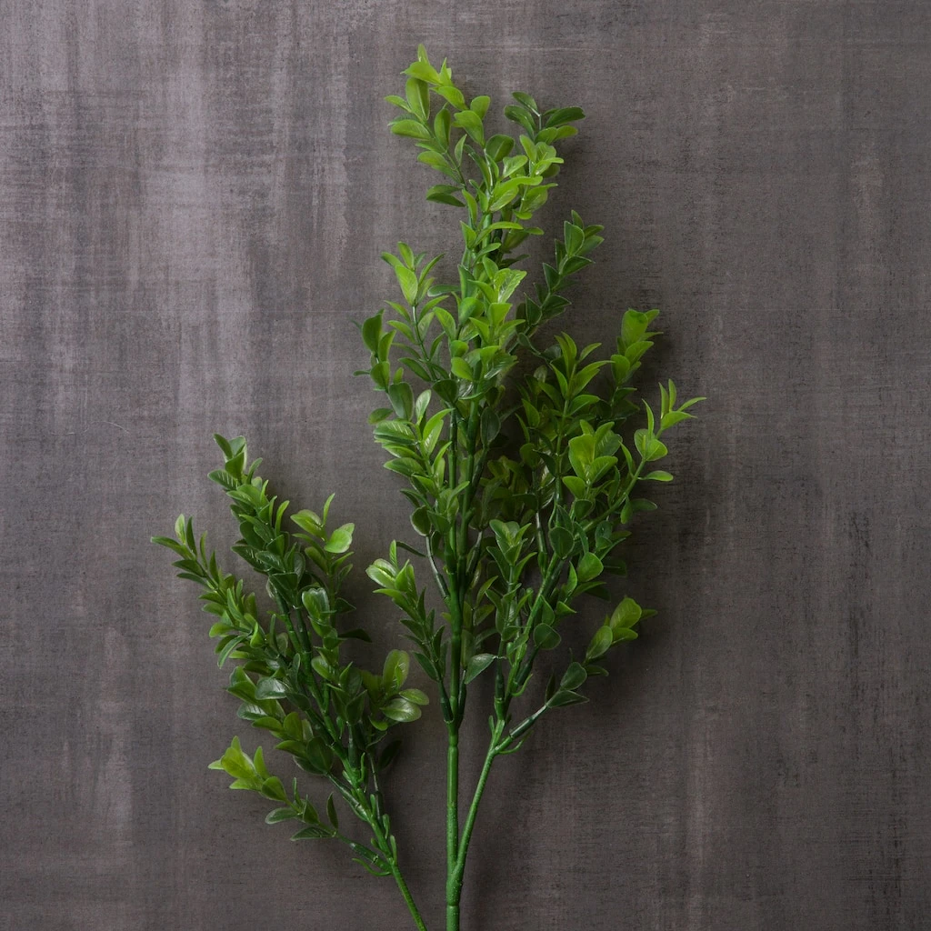 Best Sale ✨ 12 Pack: Sweet Grass Stem by Ashland® ✔️ 7 Best Sale ✨ 12 Pack: Sweet Grass Stem by Ashland® ✔️ - Image 5