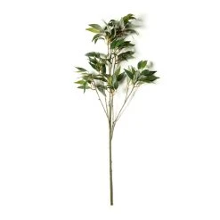 Best Sale ✨ 12 Pack: Green Osmanthus Stem by Ashland® ✔️ -Ashlandty Shop MP263723 21