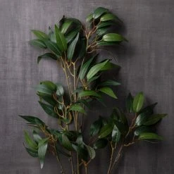 Best Sale ✨ 12 Pack: Green Osmanthus Stem by Ashland® ✔️ -Ashlandty Shop MP263723 22