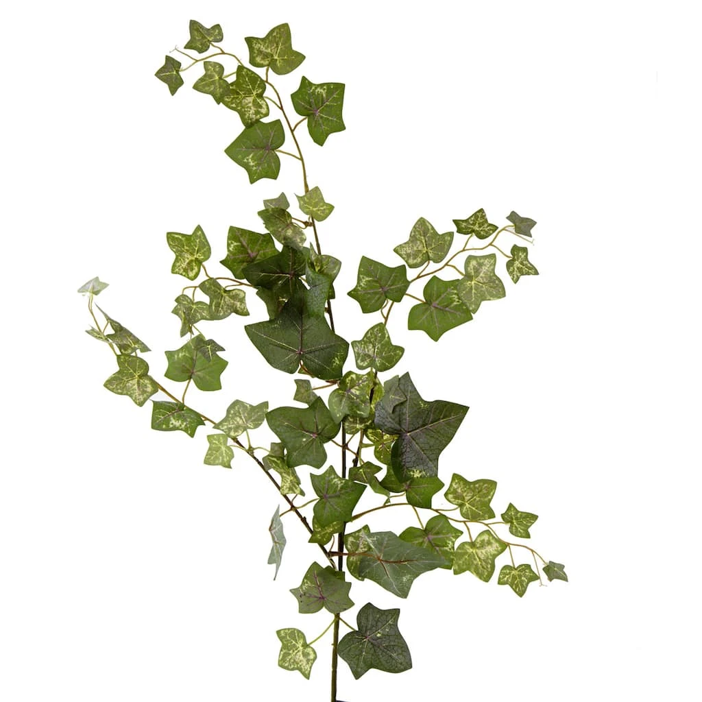 Cheap 🥰 12 Pack: Green English Ivy Spray by Ashland® ✨ 3 Cheap 🥰 12 Pack: Green English Ivy Spray by Ashland® ✨