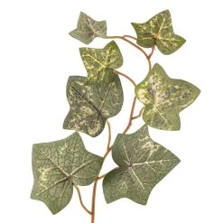 Cheap 🥰 12 Pack: Green English Ivy Spray by Ashland® ✨ 8 Cheap 🥰 12 Pack: Green English Ivy Spray by Ashland® ✨ -Ashlandty Shop MP265880 20