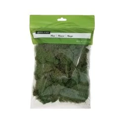 Wholesale 👏 12 Pack: Basil Green Reindeer Moss by Ashland® 👏