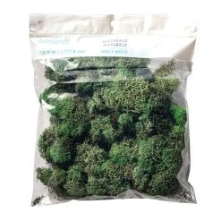 Wholesale 👏 12 Pack: Basil Green Reindeer Moss by Ashland® 👏 -Ashlandty Shop MP284152 20