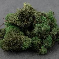 Wholesale 👏 12 Pack: Basil Green Reindeer Moss by Ashland® 👏 -Ashlandty Shop MP284152 21