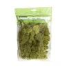 Cheap ✨ 12 Pack: Spring Green Reindeer Moss by Ashland® 🥰 -Ashlandty Shop MP284153 1