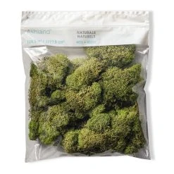 Cheap ✨ 12 Pack: Spring Green Reindeer Moss by Ashland® 🥰 -Ashlandty Shop MP284153 20