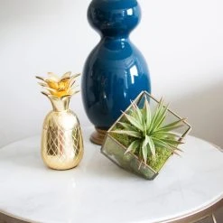 Cheap ✨ 12 Pack: Spring Green Reindeer Moss by Ashland® 🥰 -Ashlandty Shop MP284153 3