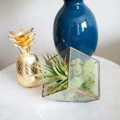 Cheap ✨ 12 Pack: Spring Green Reindeer Moss by Ashland® 🥰 -Ashlandty Shop MP284153 4