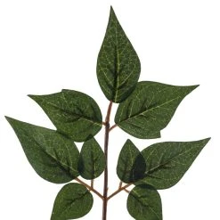 Coupon ❤️ 24 Pack: Green China Dollar Spray by Ashland® 🤩 -Ashlandty Shop MP292511 20