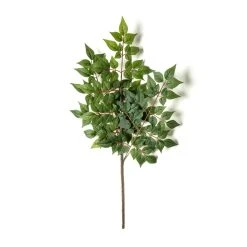 Coupon ❤️ 24 Pack: Green China Dollar Spray by Ashland® 🤩 -Ashlandty Shop MP292511 21