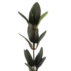 Hot Sale ✔️ 12 Pack: Green Huckleberry Leaf Spray by Ashland® ⭐ -Ashlandty Shop MP292555 20