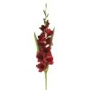 Promo ✨ 12 Pack: Dark Red Gladiolus Stem by Ashland® 🔥 -Ashlandty Shop MP297027 1