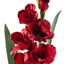 Promo ✨ 12 Pack: Dark Red Gladiolus Stem by Ashland® 🔥 6 Promo ✨ 12 Pack: Dark Red Gladiolus Stem by Ashland® 🔥 -Ashlandty Shop MP297027 20
