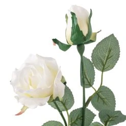 Coupon โค๏ธ 12 Pack: Ivory Sweetheart Rose Spray by Ashland® ๐ 7 Coupon โค๏ธ 12 Pack: Ivory Sweetheart Rose Spray by Ashland® ๐ -Ashlandty Shop MP297039 20