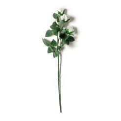 Coupon โค๏ธ 12 Pack: Ivory Sweetheart Rose Spray by Ashland® ๐ 9 Coupon โค๏ธ 12 Pack: Ivory Sweetheart Rose Spray by Ashland® ๐ -Ashlandty Shop MP297039 21