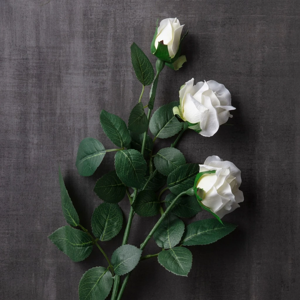 Coupon โค๏ธ 12 Pack: Ivory Sweetheart Rose Spray by Ashland® ๐ 5 Coupon โค๏ธ 12 Pack: Ivory Sweetheart Rose Spray by Ashland® ๐ - Image 3