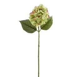 Promo ✔️ 12 Pack: Green Hydrangea Stem by Ashland® 🤩