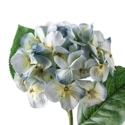 Budget 🎉 12 Pack: Blue & Green Hydrangea Stem by Ashland® ✔️ -Ashlandty Shop MP297077 20