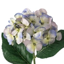 Budget 🤩 12 Pack: Indigo & Green Hydrangea Stem by Ashland® 😉 -Ashlandty Shop MP297095 20