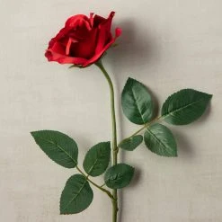 Best reviews of ✔️ 12 Pack: Dark Red Princess Rose by Ashland® ⭐ -Ashlandty Shop MP297101 25