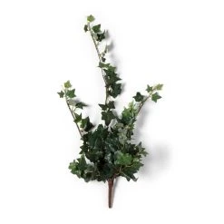 Outlet 🎁 12 Pack: Assorted Mini English Ivy Bush by Ashland® 🧨 -Ashlandty Shop MP308569 21