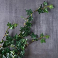 Outlet 🎁 12 Pack: Assorted Mini English Ivy Bush by Ashland® 🧨 -Ashlandty Shop MP308569 22