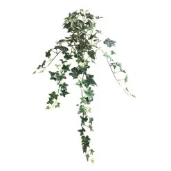 Outlet 🎁 12 Pack: Assorted Mini English Ivy Bush by Ashland® 🧨 -Ashlandty Shop MP308569 4