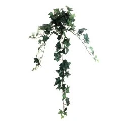 Outlet 🎁 12 Pack: Assorted Mini English Ivy Bush by Ashland® 🧨 -Ashlandty Shop MP308569 5