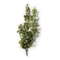 Buy 🎁 8 Pack: Fittonia Hanging Bush by Ashland® 🔔 -Ashlandty Shop MP308882 21