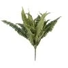 Hot Sale βοΈ 12 Pack: Boston Fern Bush by Ashland® β 2 Hot Sale βοΈ 12 Pack: Boston Fern Bush by Ashland® β -Ashlandty Shop MP309260