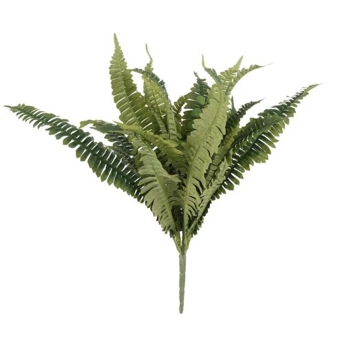 Hot Sale ✔️ 12 Pack: Boston Fern Bush by Ashland® ⭐ -Ashlandty Shop MP309260