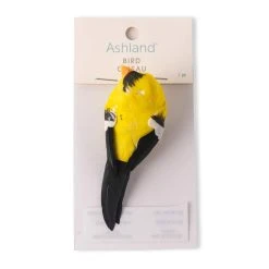 Top 10 ⭐ 24 Pack: Finch Bird by Ashland® 💯 -Ashlandty Shop MP309954 20
