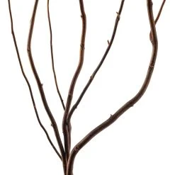 New 🧨 12 Pack: Natural Curly Willow by Ashland® ⭐ -Ashlandty Shop MP312272 20