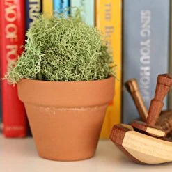 Cheap ❤️ 180 Pack: 2" Clay Pot by Ashland® ❤️ -Ashlandty Shop MP322396 2