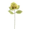 Budget ❤️ 12 Pack: Green Hydrangea Stem by Ashland® 🧨 -Ashlandty Shop MP328156 1