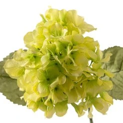 Budget ❤️ 12 Pack: Green Hydrangea Stem by Ashland® 🧨 -Ashlandty Shop MP328156 20