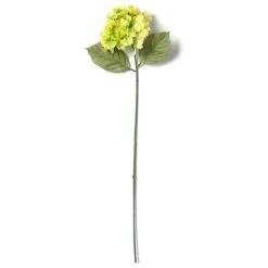 Budget ❤️ 12 Pack: Green Hydrangea Stem by Ashland® 🧨 -Ashlandty Shop MP328156 21