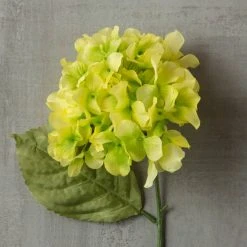Budget ❤️ 12 Pack: Green Hydrangea Stem by Ashland® 🧨 -Ashlandty Shop MP328156 25