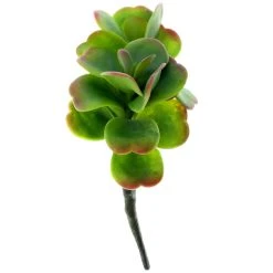 Cheap โ 18 Pack: Green & Orange Succulent Pick by Ashland® ๐