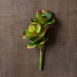 Cheap ⌛ 18 Pack: Green & Orange Succulent Pick by Ashland® 😉 -Ashlandty Shop MP337814 25